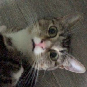 Meet your Posher, Nevaeh